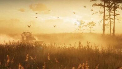 منطقه زیبای Everglades در جی تی ای ۶