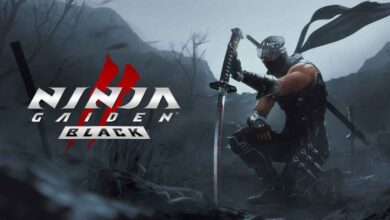 نقد و بررسی بازی Ninja Gaiden 2 Black