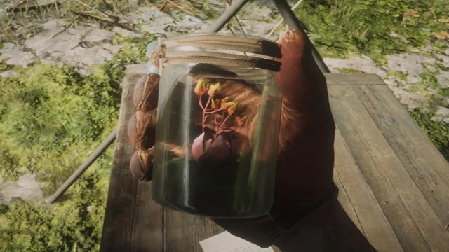 گل درون شیشه رد دد 2