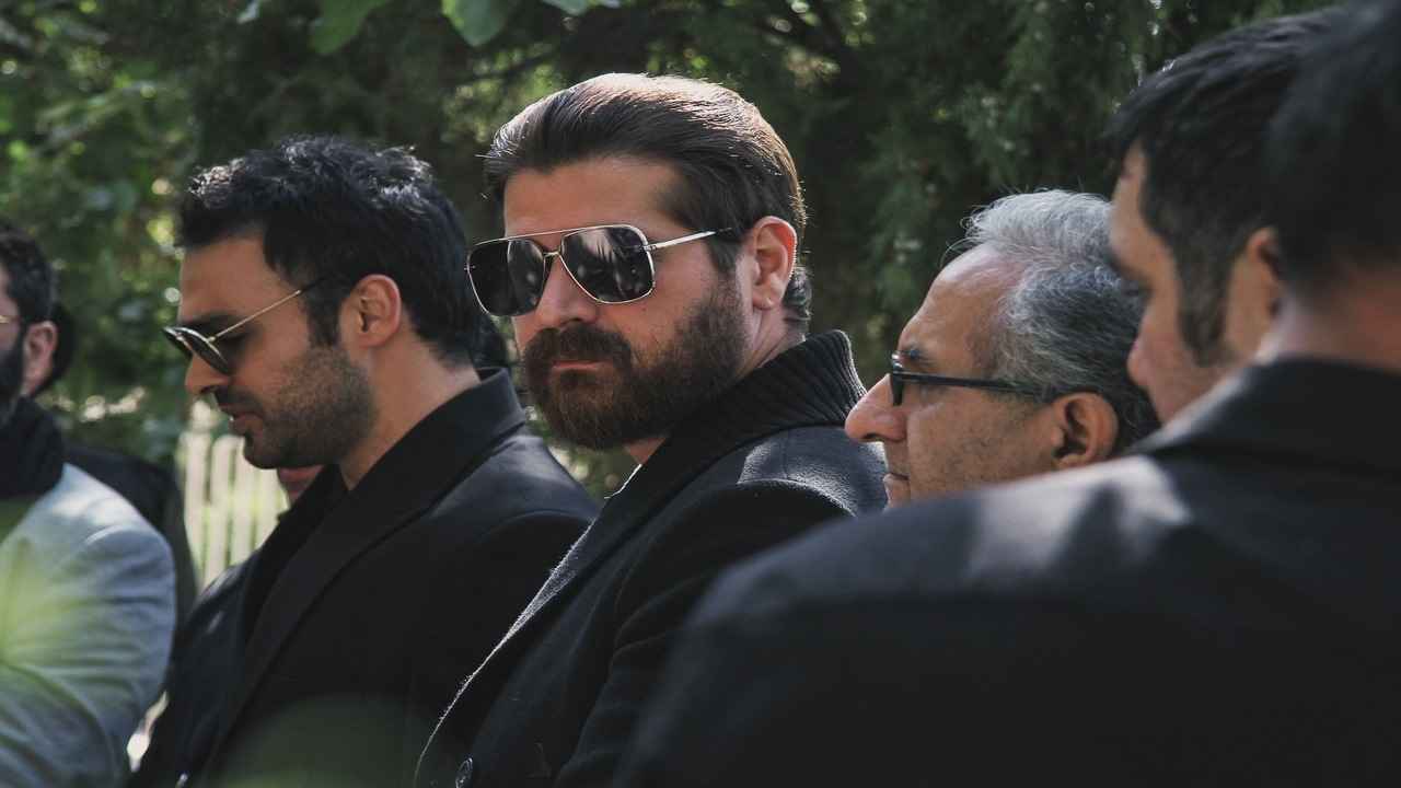 میرهامون سیدی سریال ناریا