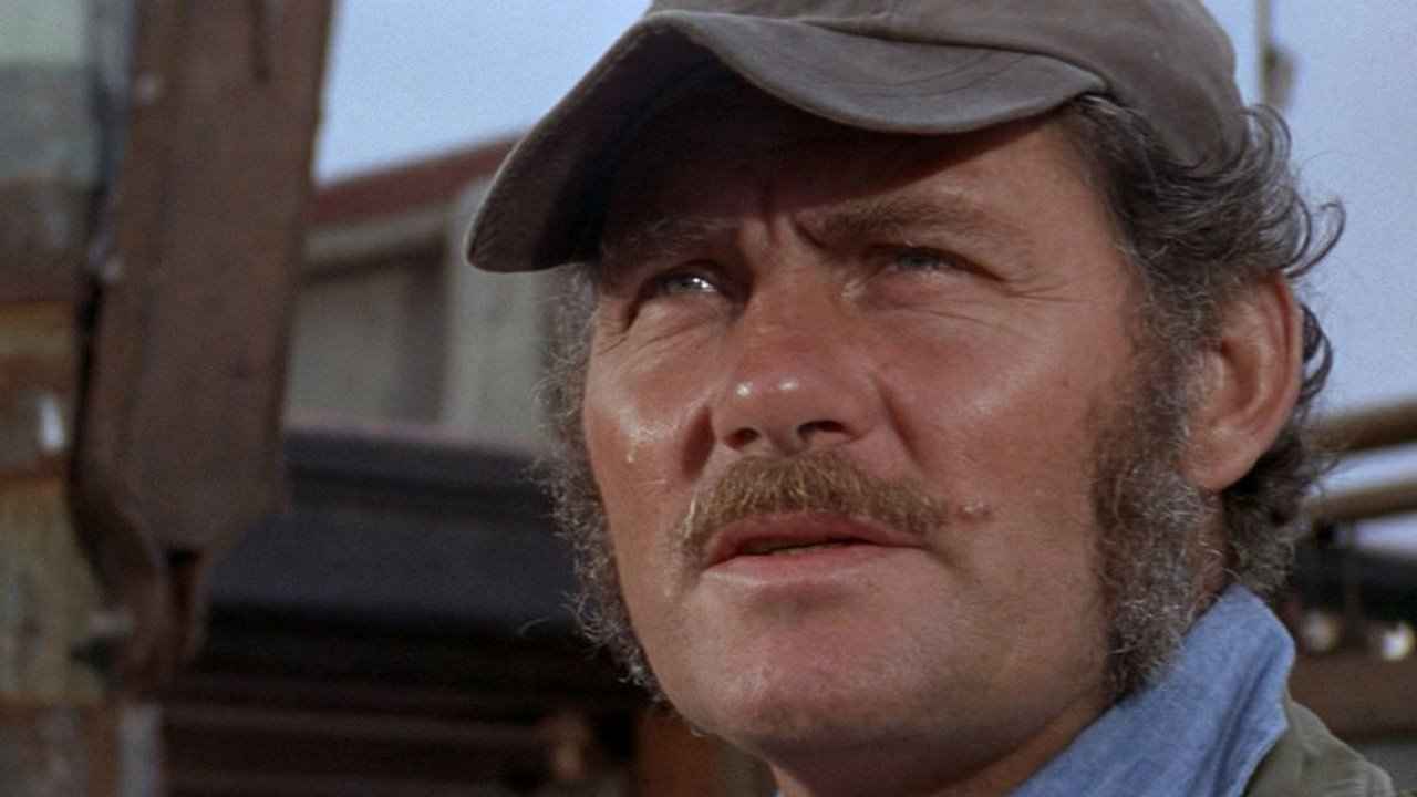 رابرت شاو در نقش کوینت در فیلم «آرواره‌ها»