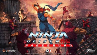 حداقل سیستم مورد نیاز برای اجرای بازی Ninja Gaiden: Ragebound