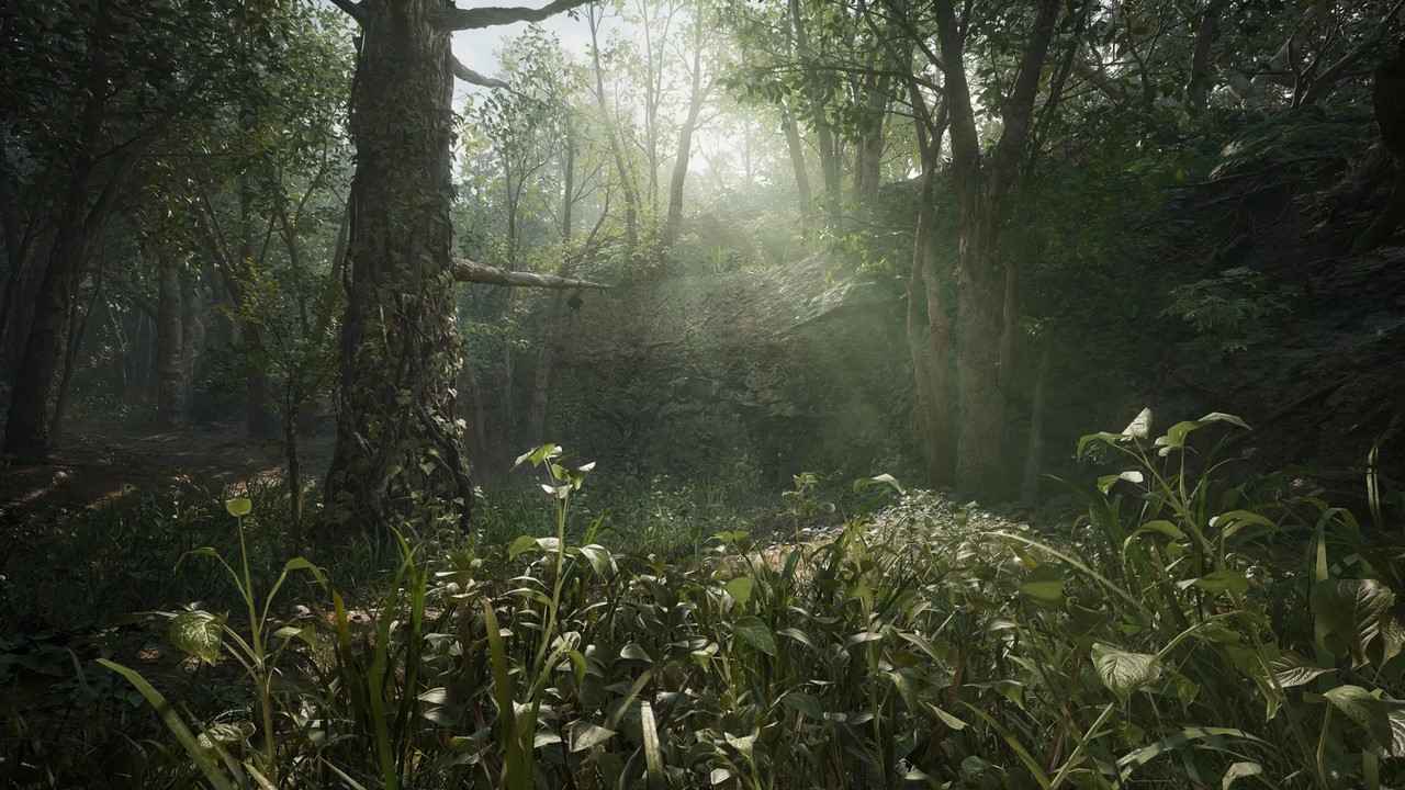 جنگلی که خیلی ها اون رو خونه‌ می دونن!
