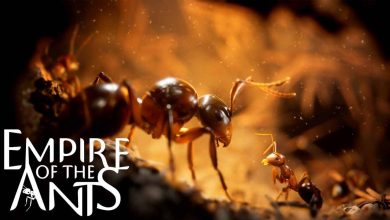 حداقل سیستم مورد نیاز بازی Empire of the Ants